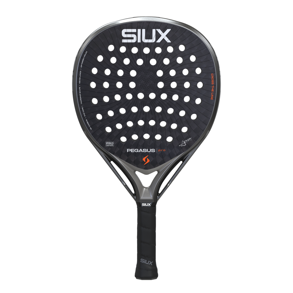 Pegasus Pro 2026 Storm Grey